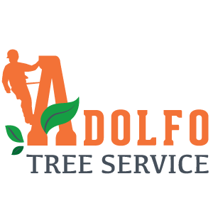 Adolfo Tree Services Branding